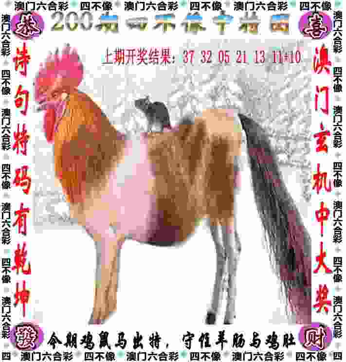 合肥今年再推一批业余联赛 高水平赛事仍不断