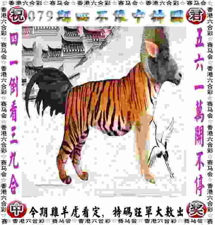 庐阳高中获青少年城市足球联赛U18男子组冠军